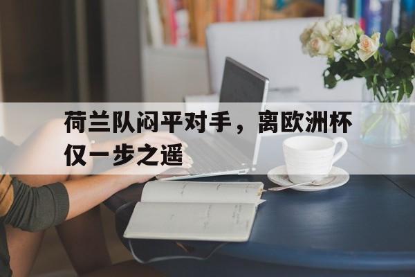 荷兰队战况